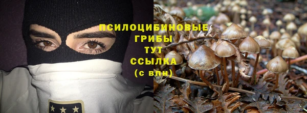 бошки Аркадак